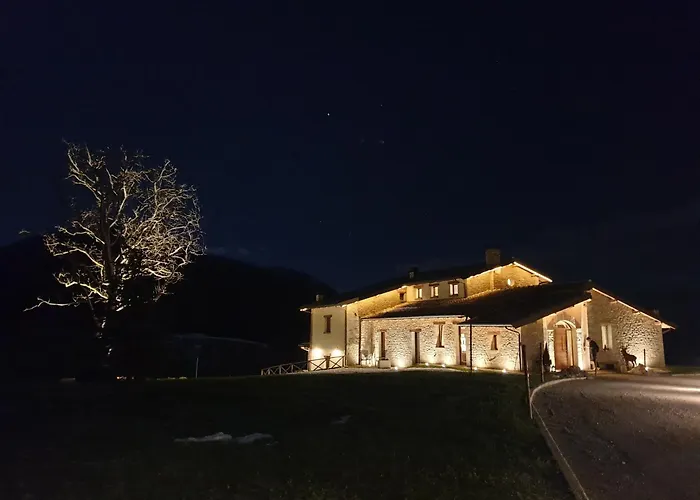 Aura Relais
